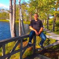 Отзыв от Максим - DTV виза